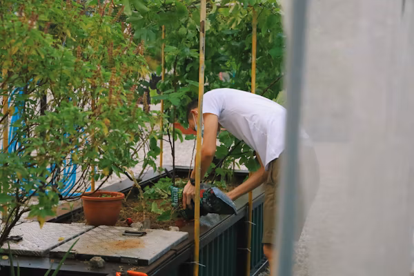 Garden Maintenance